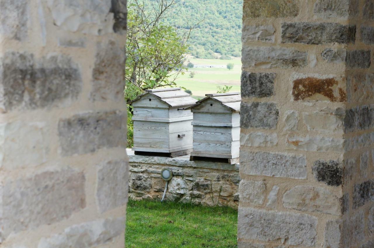 "Apeiros Chora" Hotel, Zagori Kato Pedina Exterior photo